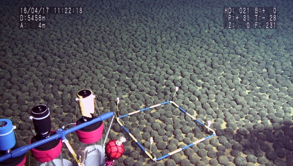 (Files) This handout photograph taken on April 17, 2016, and released by The Japan Agency for Marine-Earth Science and Technology (JAMSTEC) on August 26, 2016, shows manganese nodules dense area discovered at some 5,500 meters deep in the exclusive economic zone of Japan, around Minamitorishima located some 1,850 kilometers south of Tokyo. (Photo by HO / JAMSTEC / AFP) / 