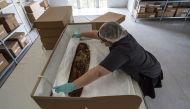 Chilean anthropologist Veronica Silva shows one of the mummies from the ancient Chinchorro culture at the National Museum of Natural History in Santiago, on December 16, 2016. AFP / Martin BERNETTI