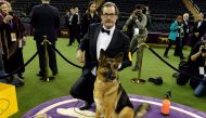 Rumor, a German Shepard and winner of Best In Show at the 141st Westminster Kennel Club Dog Show, poses for photographers with his Handler Kent Boyles at Madison Square Garden in New York City, U.S., February 14, 2017. Reuters/Stephanie Keith