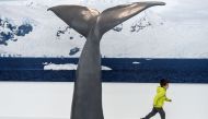 (FILES) This file photo taken on February 23, 2017 shows a child run past a mock whale tail during a visit at the Paul-Emile Victor museum on February 23, 2017 in the French eastern village of Premanon. AFP / SEBASTIEN BOZON