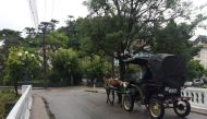 A horse-drawn carriage rides down the road in Brazil's former imperial summer capital Petropolis, March 19, 2017. Thomson Reuters Foundation/Chris Arsenault