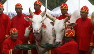 Thai officials dressed in traditional costumes feed oxen during the annual royal ploughing ceremony during the annual royal ploughing ceremony in central Bangkok, Thailand, May 12, 2017. REUTERS/Athit Perawongmetha