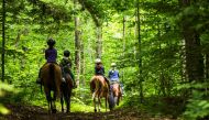 Horseback riders explore the woodland trails at Timberlock, which is in the southwestern corner of the 6-million-acre Adirondack State Park. Nancie Battaglia / The Washington Post 