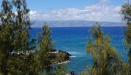 Just steps from a paved pullout on the Honoapiilani Highway, a shady spot offers a view of Molokai. All photos by John Briley for The Washington Post.
