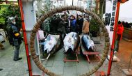 A 405 kg bluefin tuna (C) is seen at a shrine outside Tsukiji fish market in Tokyo, Japan, January 5, 2018. LEOC Co's Chairman, CEO and President Hiroshi Onodera, who runs a chain of sushi restaurants, won the bid for the tuna caught off Oma, Aomori prefe