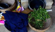 (FILES) This file photo taken on October 22, 2015 shows indigo leaves used to dye materials by Nung ethnic women at Phuc Sen village, in the northern province of Cao Bang.  AFP / HOANG DINH NAM
