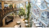 The second and third floors of the new Amazon Spheres are seen during a grand opening event at Amazon's Seattle headquarters (Lindsey Wasson/Reuters)