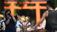 This May 31, 2016 picture shows foreign tourists taking a picture with a deer at the Nara park in Nara. Japan / AFP / JIJI PRESS 