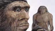 Neanderthals in an undated illustration. REUTERS