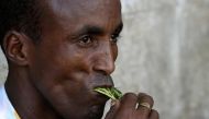 An unemployed Somali man chews narcotic leaves known as khat, which is used as a mild stimulant, in his neighbourhood in southern Mogadishu May 7, 2012. Reuters/Feisal Omar