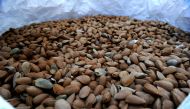 Almonds are stored in sacks in an almond processing factory, in Cordoba on August 29, 2018. AFP / CRISTINA QUICLER