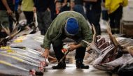 A buyer inspects fish before the final tuna auction at the landmark Tsukiji fish market, the last day of the market's operations before closing its doors, in Tokyo on October 6, 2018.  AFP / Nicolas Datiche
 