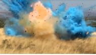 The still images taken from a video provided by the US Forest Service show the moment a gender-reveal party sparked a wildfire in Green Valley, Arizona, in April 2017.  AFP/US Forest Service