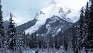 Christian Gangsted-Rasmussen navigates a gentle glade during a day of heli skiing in the Purcell Mountains of British Columbia. The Washington Post / John Briley