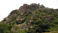 The Amurum Forest Reserve, where undulating rock formations surround a savannah dominated by lush and tall grass in Jos, Plateau State pictured on June 5, 2014. AFP