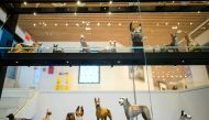 This picture taken on February 1, 2019 in New York City shows a display with dog figures at The American Kennel Club Museum of the Dog. AFP / Johannes EISELE 