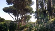 The eastern slope of Rome's Palatine hill, which is distinguished by unexpected greenery. Photo for The Washington Post by Anne Calcagno
