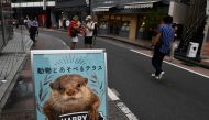 A promotional signboard for a pet cafe that features otters is displayed at the Harajuku district in Tokyo on August 21, 2019. AFP / Toshifumi Kitamura