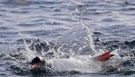 A Gentoo penguin (Pygoscelis Papua) swims on Half Moon island, Antarctica on November 09, 2019. / AFP / Johan Ordonez
 