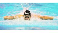 A Qatari swimmer in action during the penultimate day of the 28th GCC Aquatics Championships at Hamad Aquatic Complex in Doha, yesterday. Pictures: Amed Oukda / QSA
