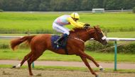 Nasim storms to victory at Lingfield Park Racecourse. Pic: Racingfotos