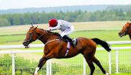  Jockey Ryan Moore guiding Toro Strike towards the finish line. Pic: Steve Davies