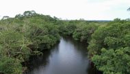 An aerial view shows mangrove trees, in Pongara National Park, Gabon, October 15, 2021. Picture taken with a drone. Reuters/Christophe Van Der Perre