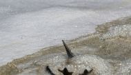 A dead marine bird floats in contaminated water near Isla Pescadores, Peru February 9, 2022. Reuters/Sebastian Castaneda