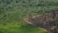 File photo of a deforested part of Amazon 