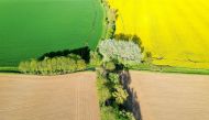 An aerial view shows a yellow rapeseed, wheat and sugar beet fields in Carnieres, France, May 18, 2021. Picture taken with a drone. REUTERS/Pascal Rossignol/File Photo


