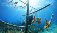 Professional diver and coral reef conservationist Luis Muino cleans the coral nursery from algae in Playa Coral beach, Cuba April 29, 2022. Picture taken on April 29, 2022. REUTERS/Alexandre Meneghini