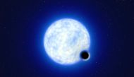 An artist’s impression showing what the binary star system VFTS 243 - containing a black hole and a large luminous star orbiting each other - might look like if we were observing it up close. (Reuters)

