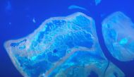 Coral reefs can be seen from above on the Great Barrier Reef, located off the coast of Queensland, near the town of Rockhampton, in Australia, November 15, 2018. REUTERS/David Gray

