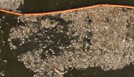 Dead fish floating near Widuchowa in Poland are caught in a dam by the banks of Oder river in Friedrichsthal, Germany August 18, 2022. Reuters/Kuba Stezycki 