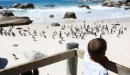 Children look at African penguins at a viewing point at Cape Town's famous Boulders penguin colony, a popular tourist attraction and an important breeding site in Cape Town, South Africa, September 27, 2022. Reuters/Esa Alexander