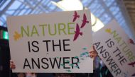 Members of WWF protest during COP15, the two-week UN Biodiversity summit, in Montreal, Quebec, Canada, on December 7, 2022. REUTERS/Christinne Muschi/File Photo