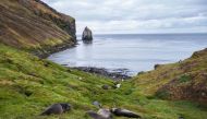 Elephant seals rest at the coast of Possession Island on December 27, 2022, part of the Crozet Islands, a sub-Antarctic archipelago of small islands form one of the five administrative districts of the French Southern and Antarctic Lands in the southern Indian Ocean. Photo by PATRICK HERTZOG / AFP