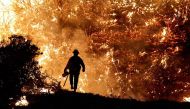 A firefighter works as the Caldor Fire burns in Grizzly Flats, California, US, August 22, 2021. (REUTERS/Fred Greaves)