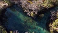 Manatees are seen at the sanctuary in Three Sisters Springs at the Crystal River National Wildlife Refuge, in Crystal River, Florida, US, January 12, 2023. (REUTERS/Marco Bello)