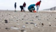 A photograph taken on March 25, 2023, shows shells, with collecting volunteers in the background, on a beach as part of a survey and counting operation organised by the Flemish Institute of the Sea (VLIZ) in Middelkerke. (Photo by Kenzo Tribouillard / AFP)