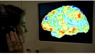 The fMRI machine scans allowed scientists to map out how meanings and phrases prompted responses in different regions of the brain. (MIGUEL MEDINA / AFP)