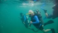 President & CEO of MOTE, Michael Crosby dives into the ocean ahead of team of Combat Wounded Veteran Challenge (CWVC) to help restore corals reefs, Florida on July 13, 2023. (Photo by Chandan Khanna / AFP)