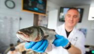 Fishmonger Michael O'Donnell poses for a photograph with some of his fish stock in Killybegs, western Ireland on August 4, 2023. (Photo by Paul Faith / AFP