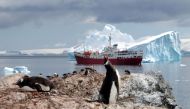 (FILES) Penguins are seen on January 1, 2010 on the Antartic Peninsula. Helpless emperor penguin chicks perished at multiple breeding grounds in West Antarctica late last year, drowning or freezing to death when sea ice eroded by global warming gave way under their tiny feet, scientists said on August 24, 2023. (Photo by SARAH DAWALIBI / AFP)
