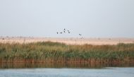 File photo of the Al Karaana Lagoon located southwest of Doha. Photo: Salim Matramkot/The Peninsula 