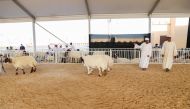 Participants during a recent edition of the Halal Festival (file photo).