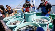 This file photo taken on September 1, 2023 shows fishery workers unloading seafood caught in offshore trawl fishing at the port of Matsukawaura in the city of Soma, Fukushima prefecture, about a week after the country began discharging treated wastewater from the TEPCO Fukushima Daiichi nuclear power plant. Photo by JIJI Press / AFP