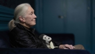 British ethologist and primatologist Jane Goodall poses with her mascott 