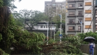 A fallen tree blocks a road in Keelung on November 1, 2024, after Typhoon Kong-rey made landfall in eastern Taiwan on October 31. (Photo by I-Hwa Cheng / AFP)