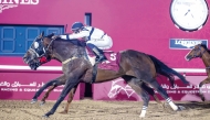 Marco Casamento guides Return To Senders to Rowdat Rashid Cup title at Al Rayyan Racecourse yesterday.  